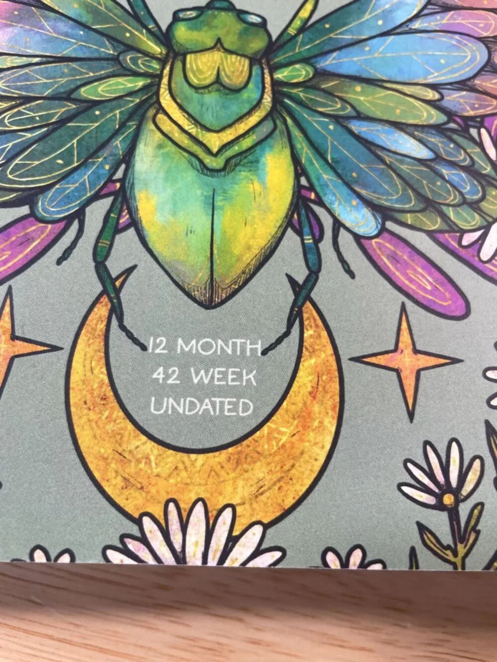 Homeschool Lesson Planning Notebook Nature Series 12 Month 42 Week Schoolnest
